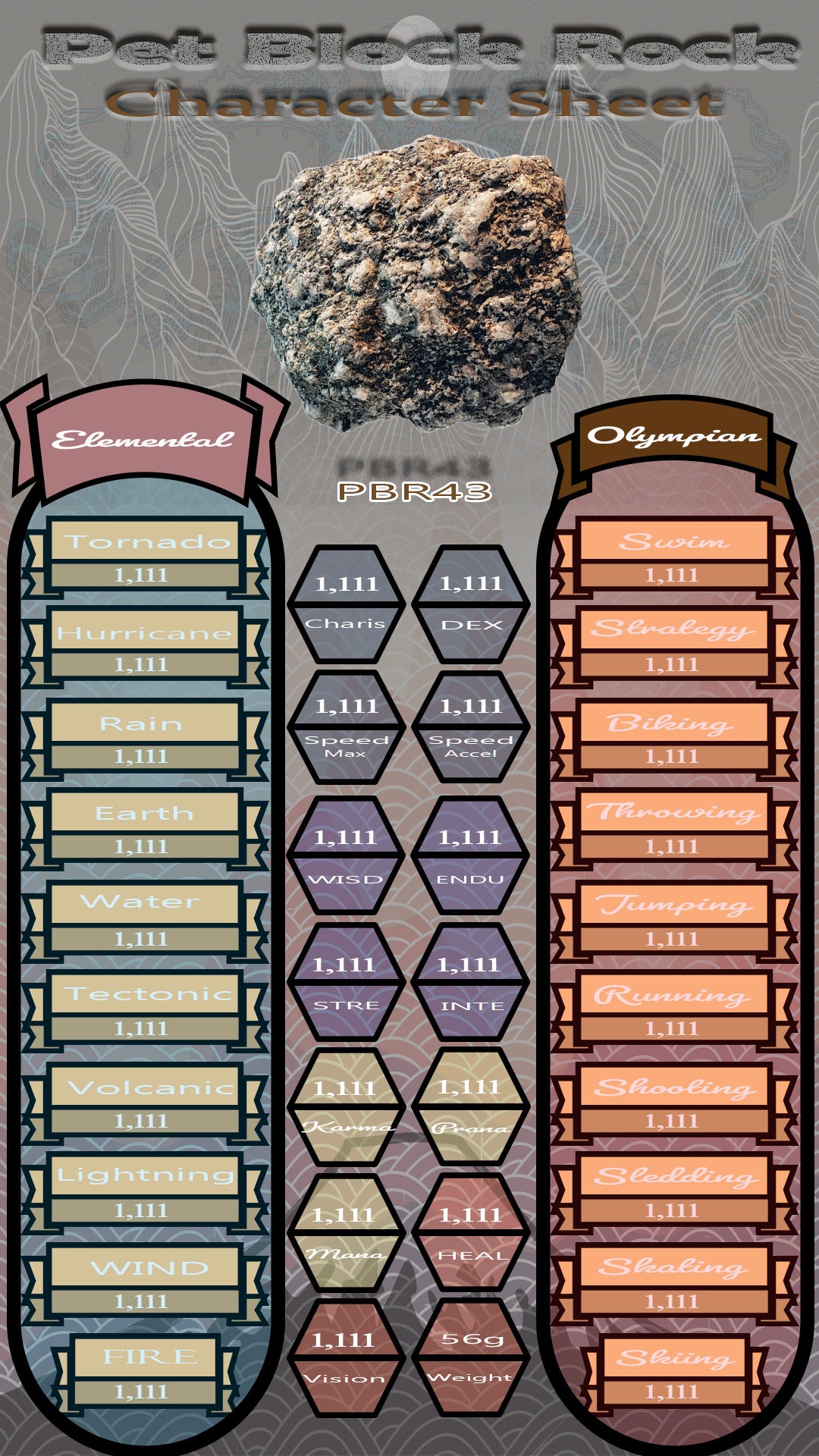 Pet Block Rock PBR43