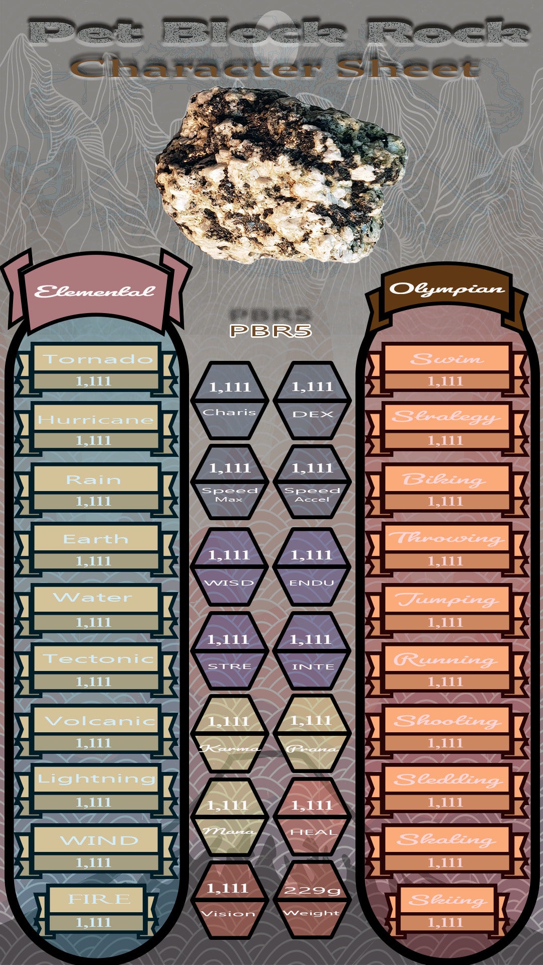 Pet Block Rock PBR5