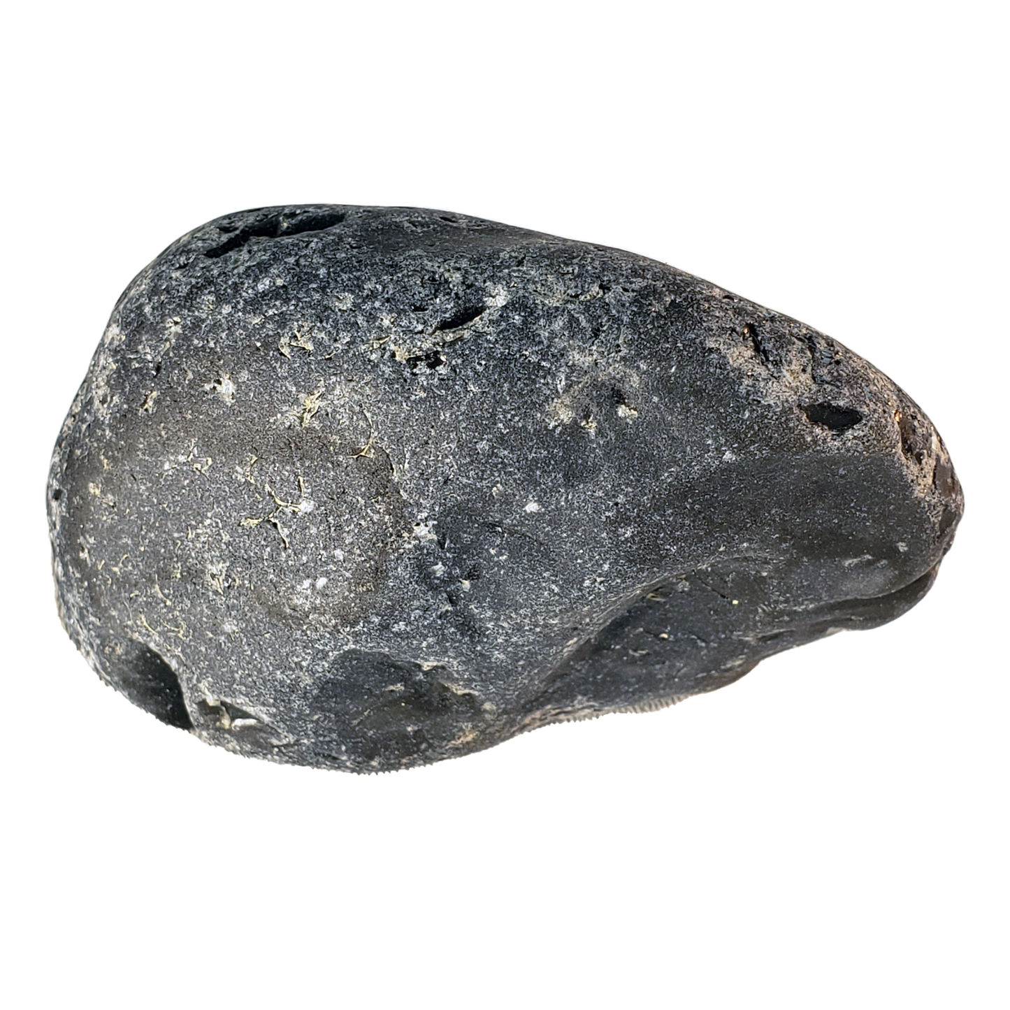 Pet Block Rock PBR115