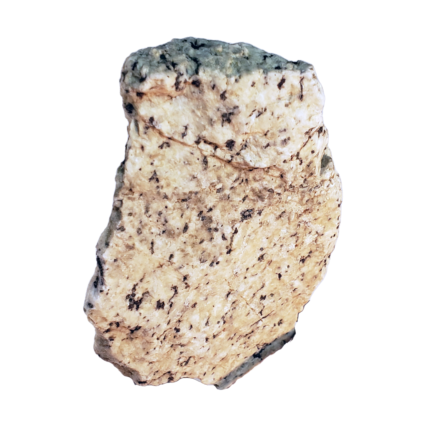 Pet BLock Rock PBR16