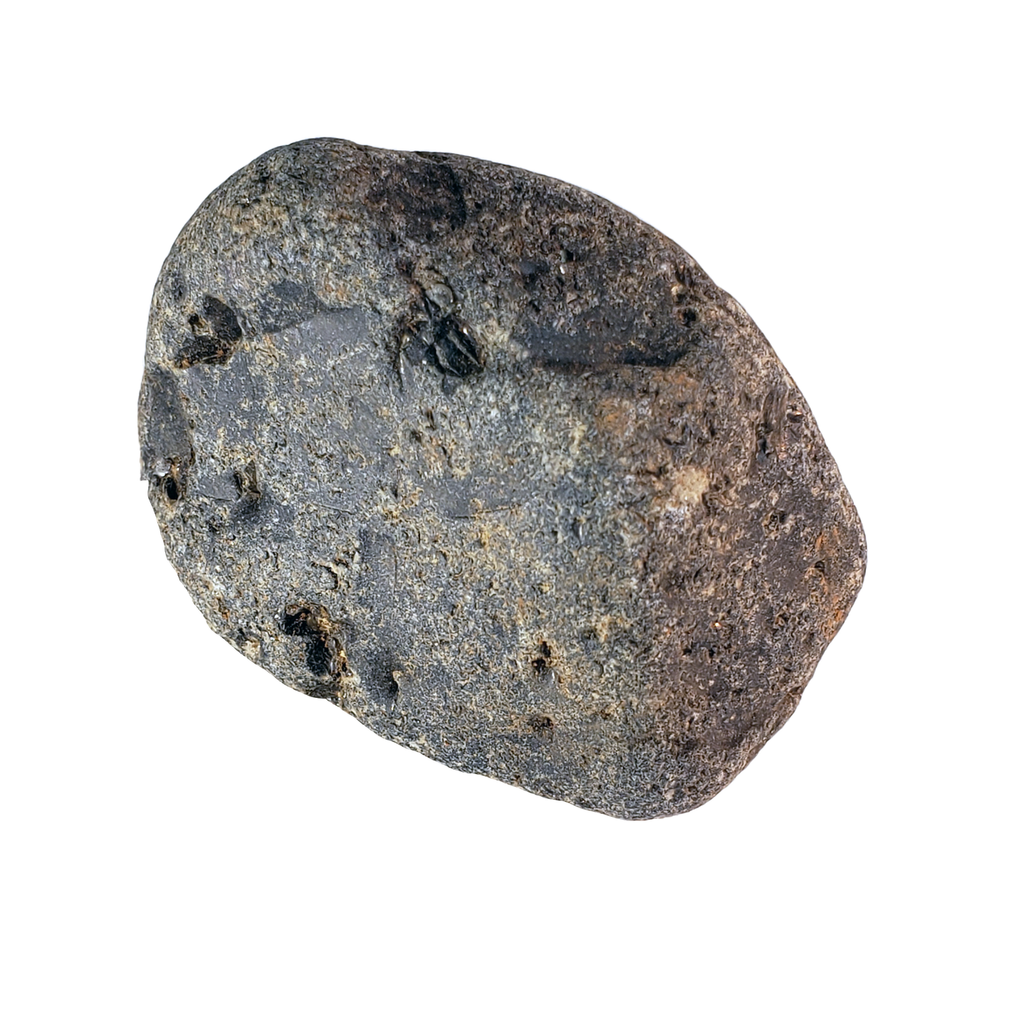 Pet Block Rock PBR199