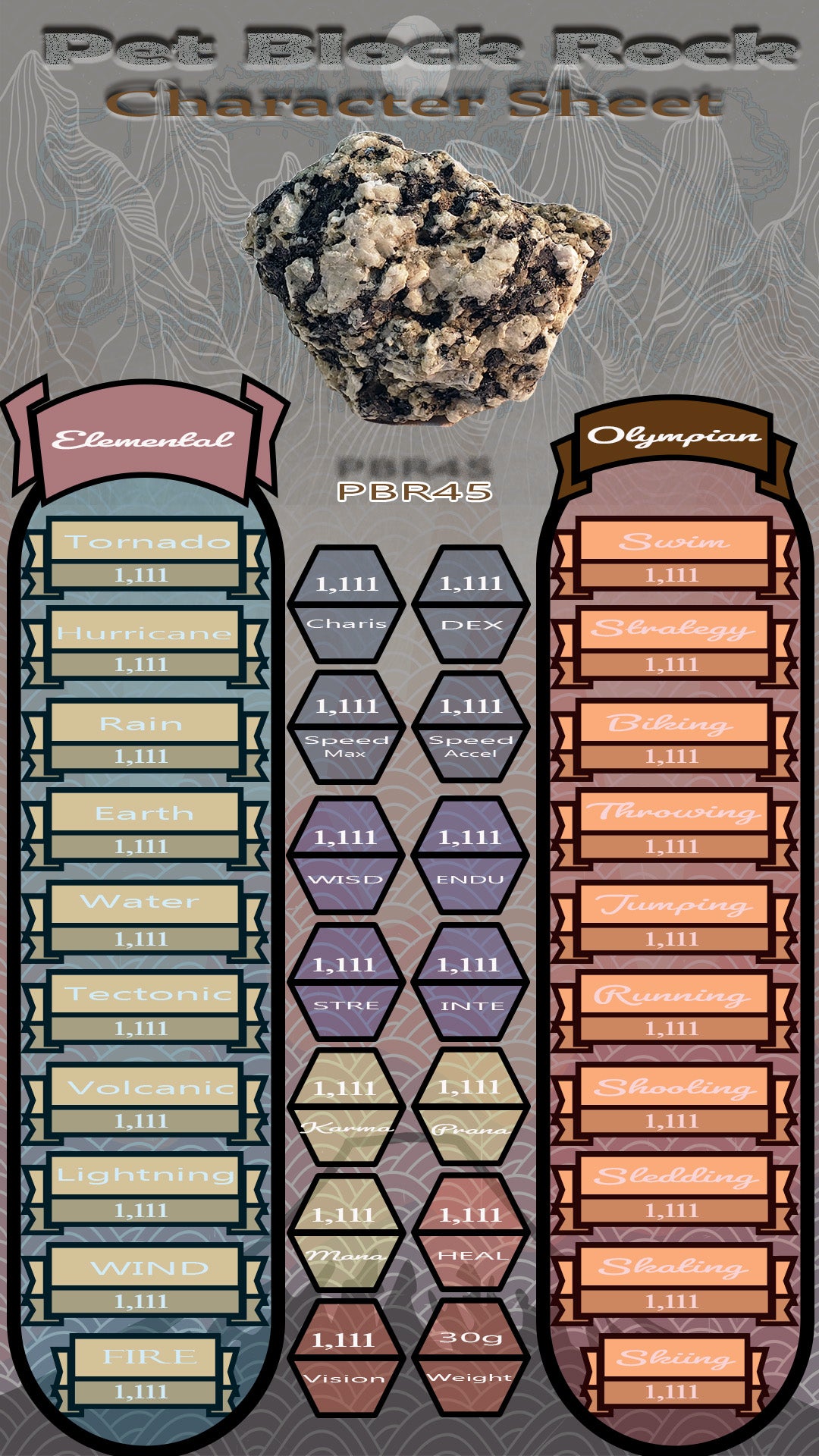 Pet Block Rock PBR45
