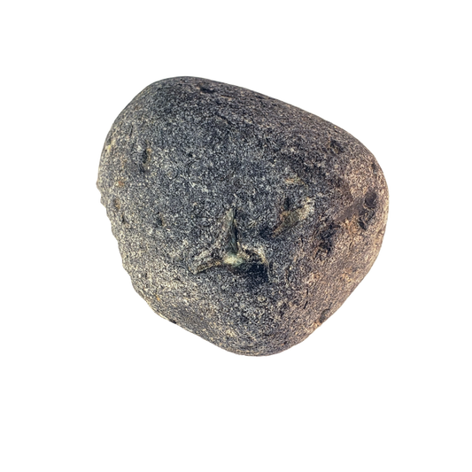 Pet Block Rock PBR171