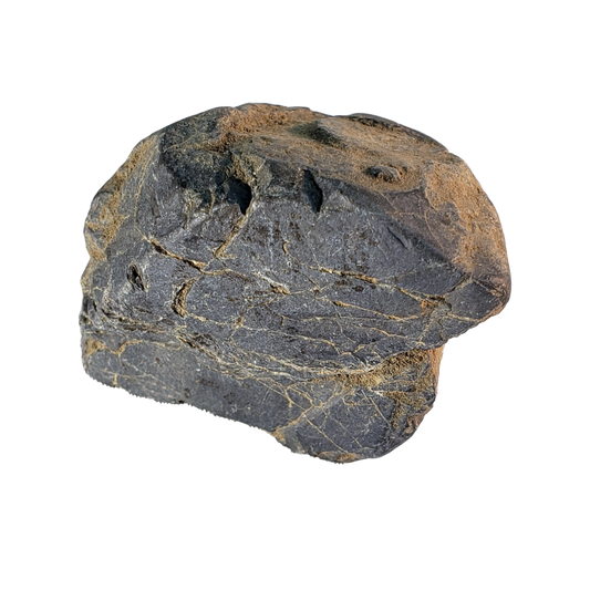 Pet Block Rock PBR198